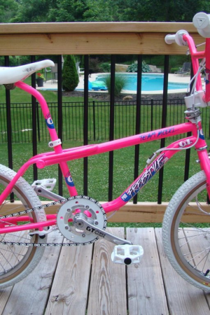 1987 Gt pro performer