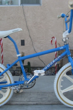1987 Mongoose – Blue with Mag Wheels