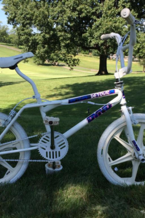 1989 Dyno De Tour white.