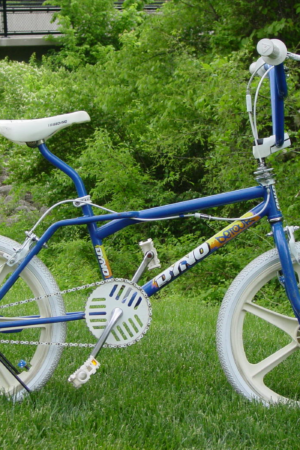 1989 Dyno Detour blue white mag wheel