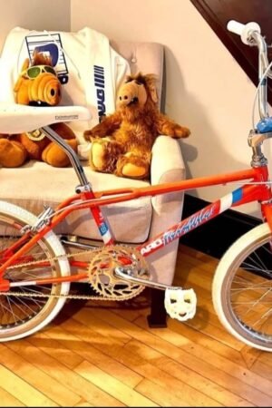 1986 Haro Freestyle FST – Vintage BMX Legend
