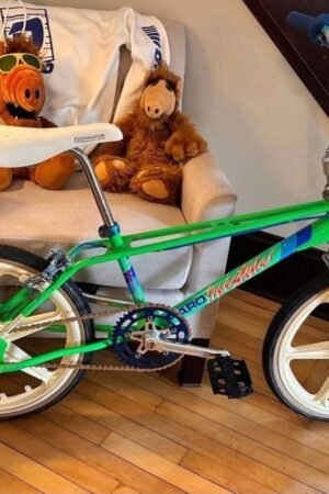 1985 Haro Master – Vintage Freestyle Royalty