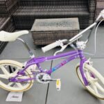 1987 GT Pro Performer – Freestyle Royalty from the Golden Era