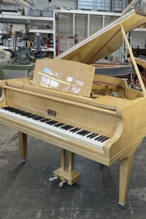 Allison London Grand Piano