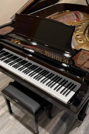 Steinway & Sons Model B