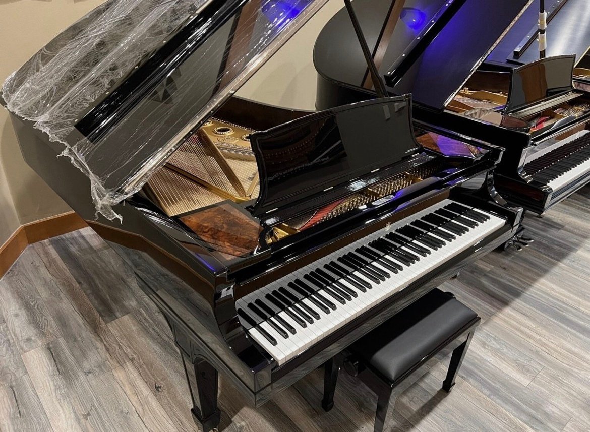 Steinway & Sons Model B - Image 11