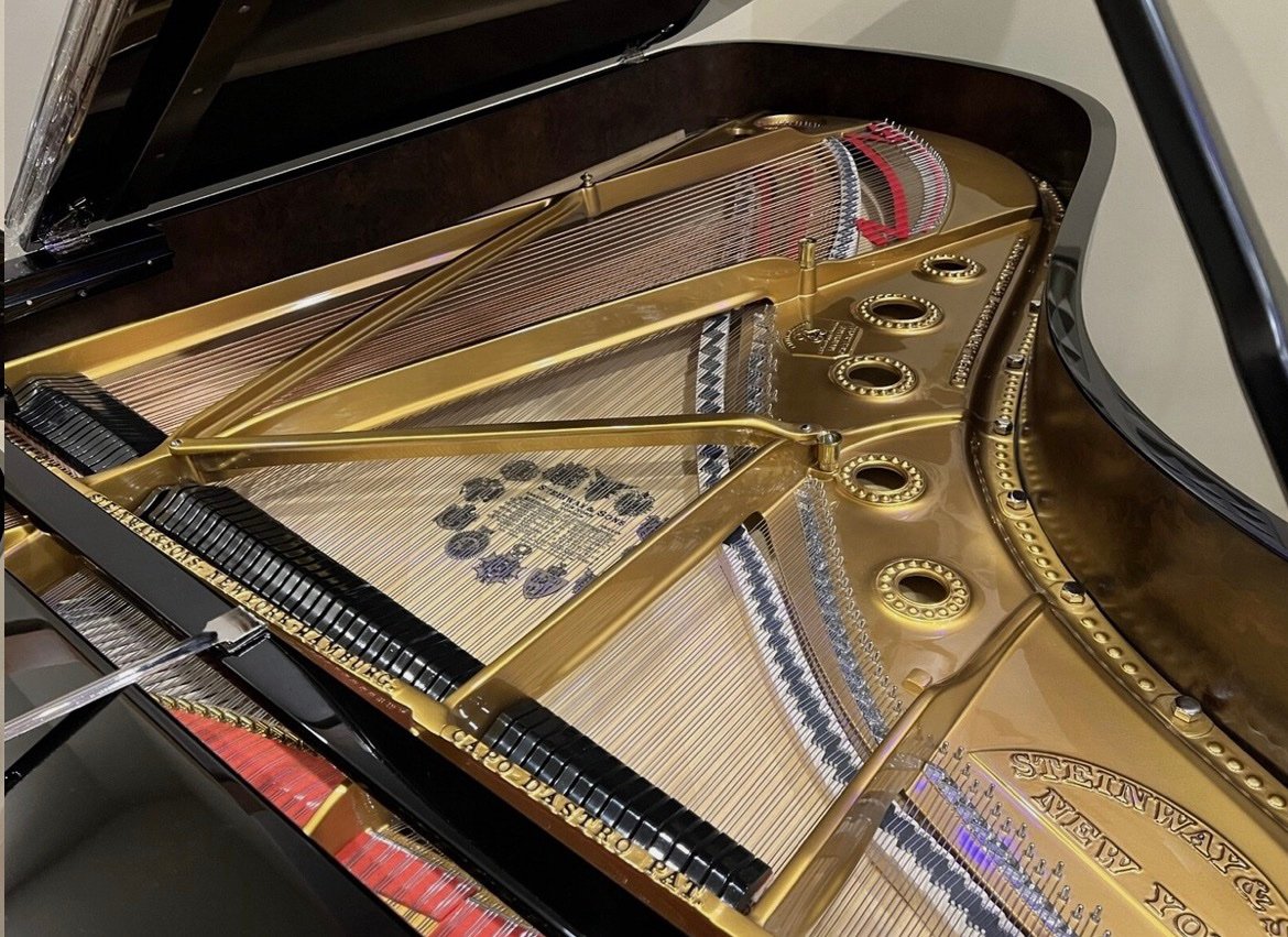 Steinway & Sons Model B - Image 4