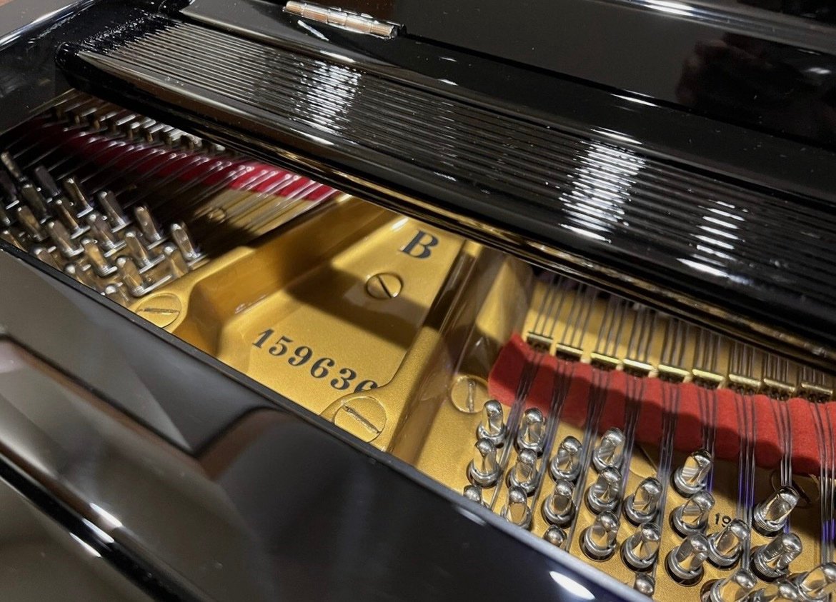 Steinway & Sons Model B - Image 3