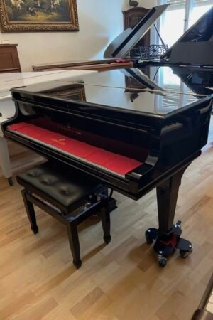 Steinway & Sons Grand Piano Support Grand Piano Concert Grand Piano Salon Grand Piano