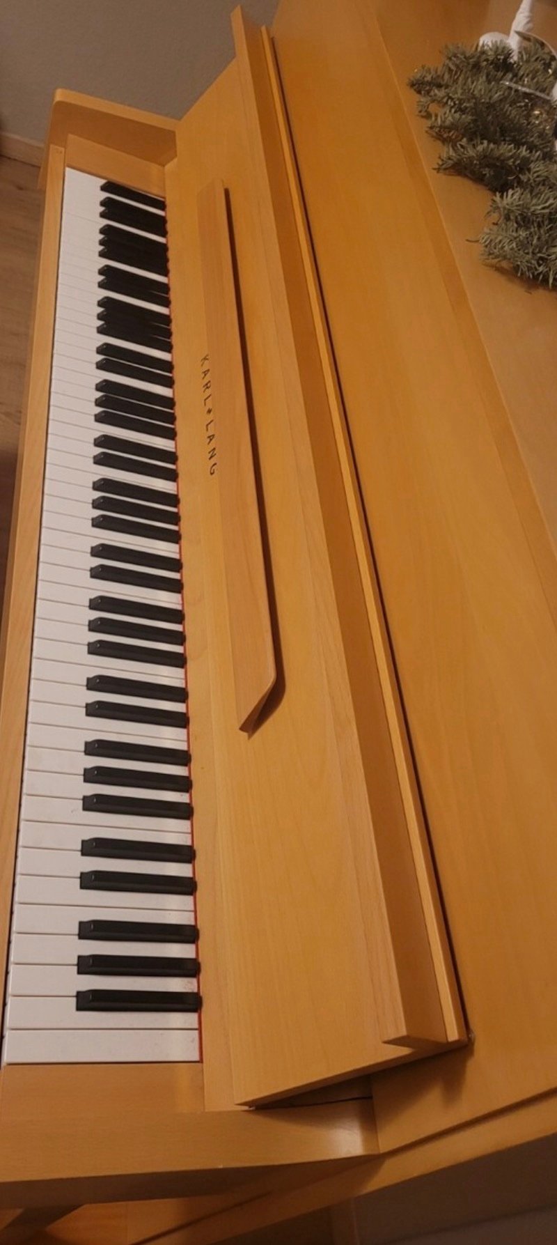 Steinway Karl Lang Piano Piano 3 Pedals Number 876113 Ready to Ship - Image 3