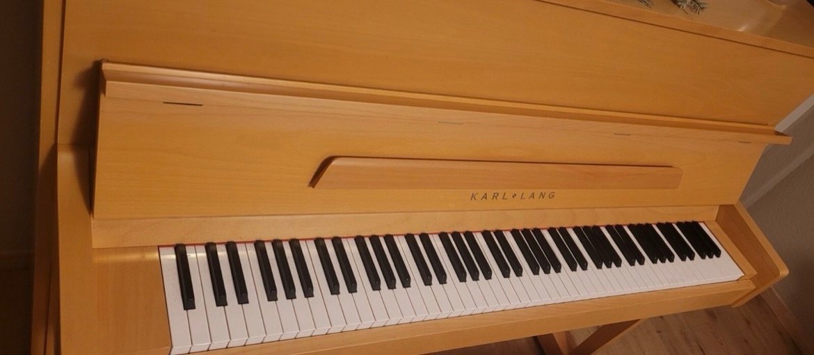 Steinway Karl Lang Piano Piano 3 Pedals Number 876113 Ready to Ship - Image 2