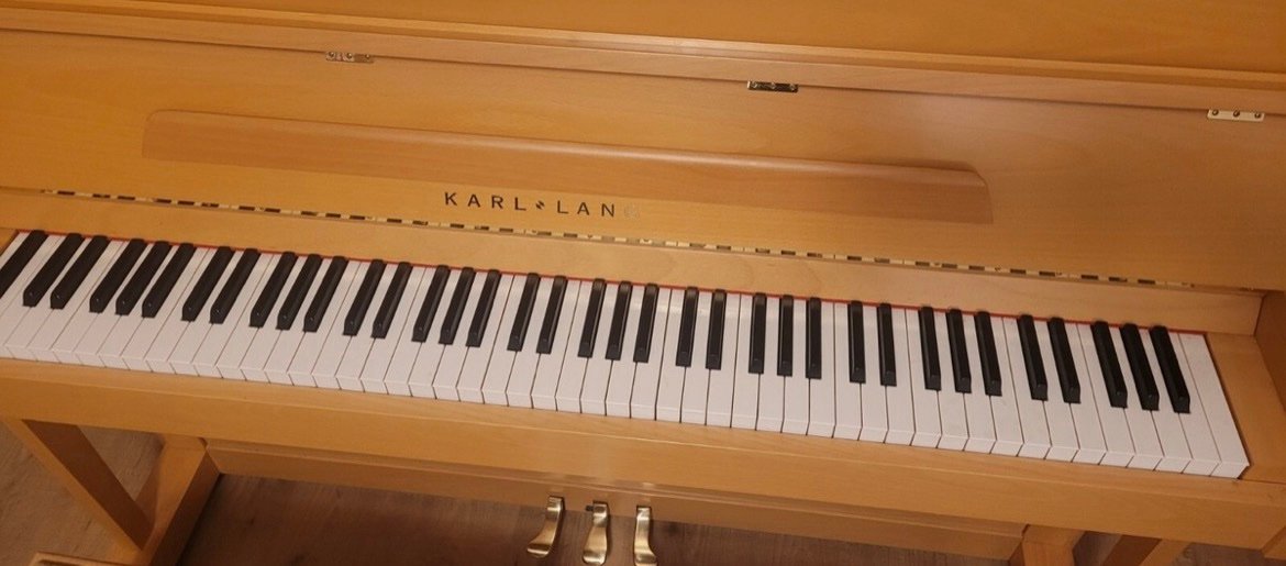 Steinway Karl Lang Piano Piano 3 Pedals Number 876113 Ready to Ship - Image 4