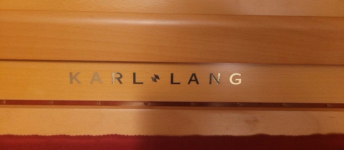 Steinway Karl Lang Piano Piano 3 Pedals Number 876113 Ready to Ship - Image 6