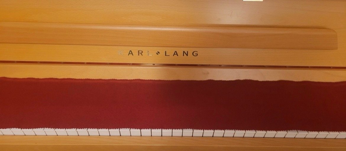 Steinway Karl Lang Piano Piano 3 Pedals Number 876113 Ready to Ship - Image 5