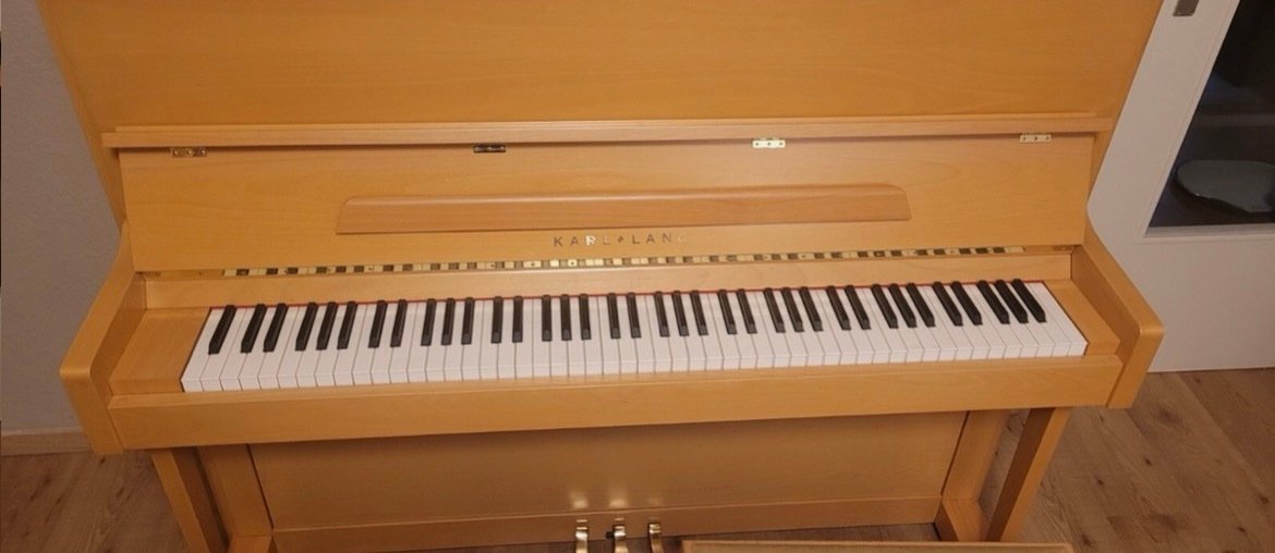 Steinway Karl Lang Piano Piano 3 Pedals Number 876113 Ready to Ship - Image 17