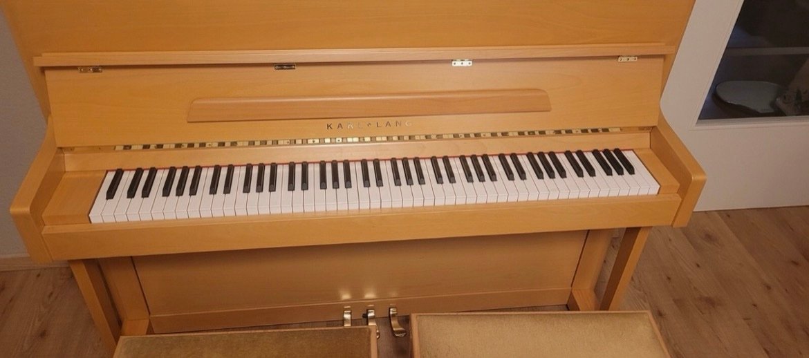 Steinway Karl Lang Piano Piano 3 Pedals Number 876113 Ready to Ship - Image 14