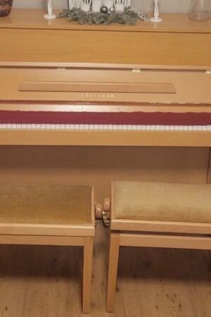 Steinway Karl Lang Piano Piano 3 Pedals Number 876113 Ready to Ship