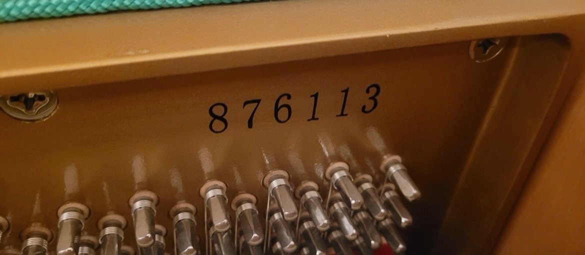 Steinway Karl Lang Piano Piano 3 Pedals Number 876113 Ready to Ship - Image 12