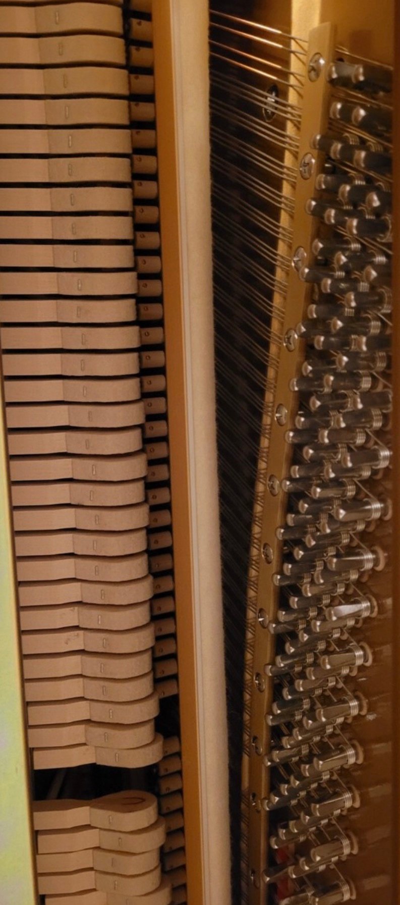 Steinway Karl Lang Piano Piano 3 Pedals Number 876113 Ready to Ship - Image 8