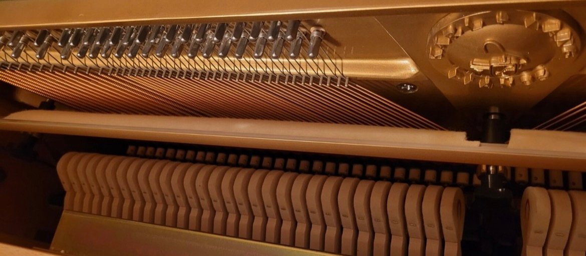 Steinway Karl Lang Piano Piano 3 Pedals Number 876113 Ready to Ship - Image 9