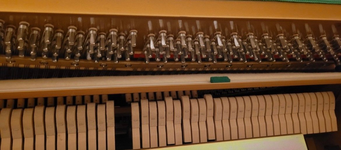 Steinway Karl Lang Piano Piano 3 Pedals Number 876113 Ready to Ship - Image 10