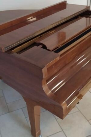 SMALL ROYAL Grand Salon Piano