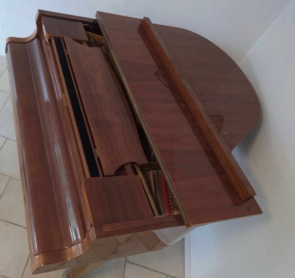 SMALL ROYAL Grand Salon Piano - Image 4