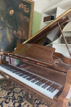 ❗BRAND NEW FACTORY DELIVERED❗2020 Gorgeous baby grand piano 4’9” for concerts