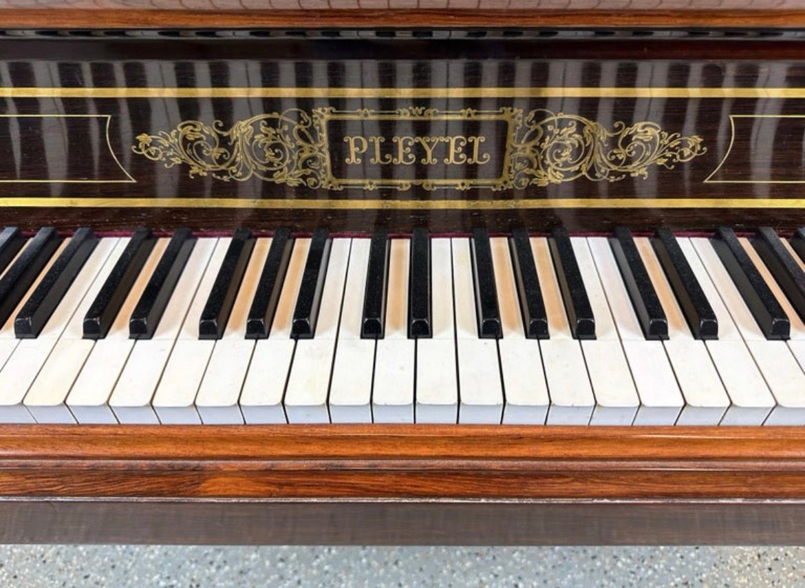 ❗Fairly Used❗Pleyel Grand Piano, Paris 1870 going at affordable prices - Image 15