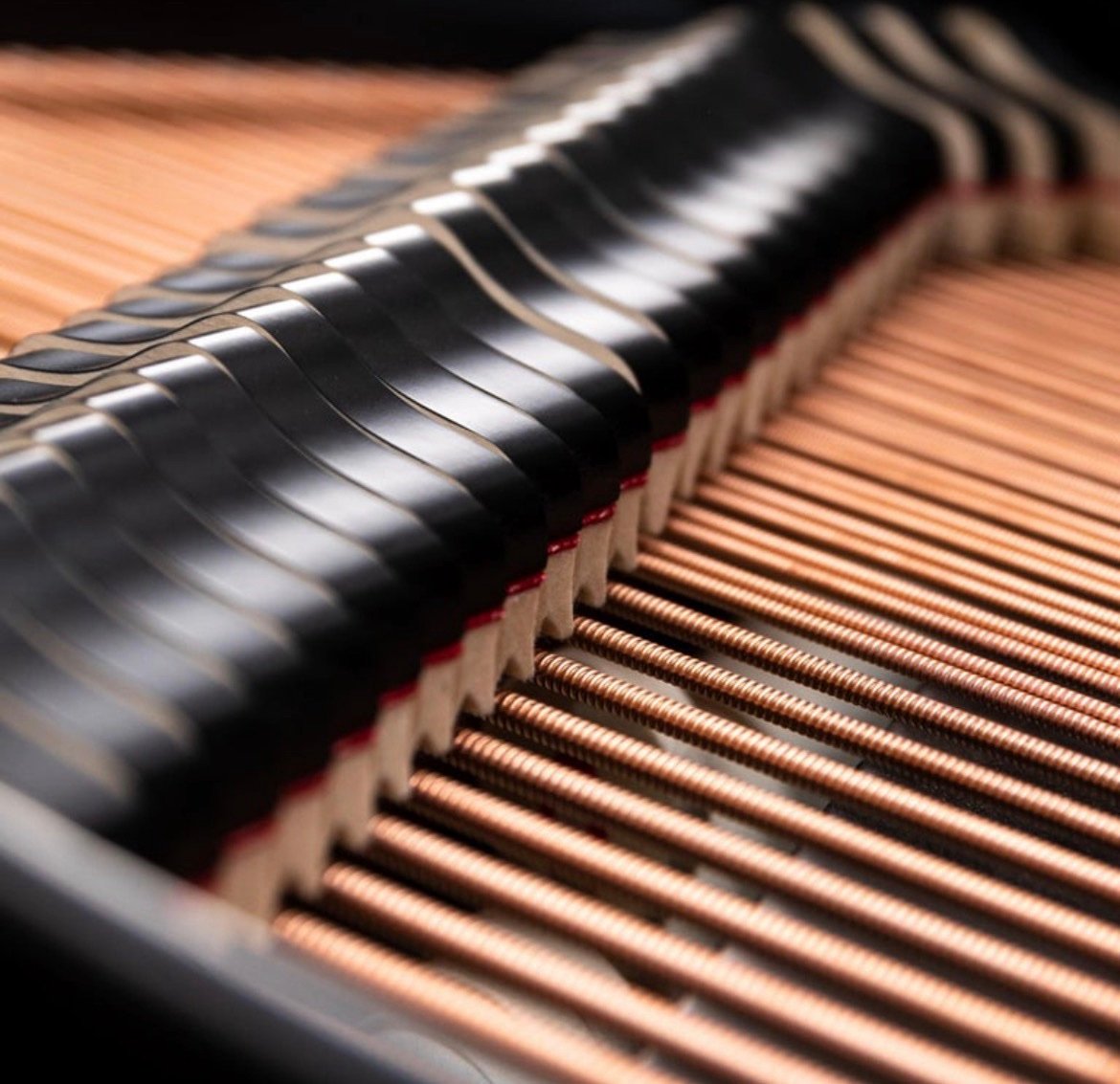 ❗A Keith Jarrett Solo Concert Grand❗Ph Grand Piano PH159 Legacy, Black Woven Leather, Oxidized Brass, Walnut Wood - Image 12