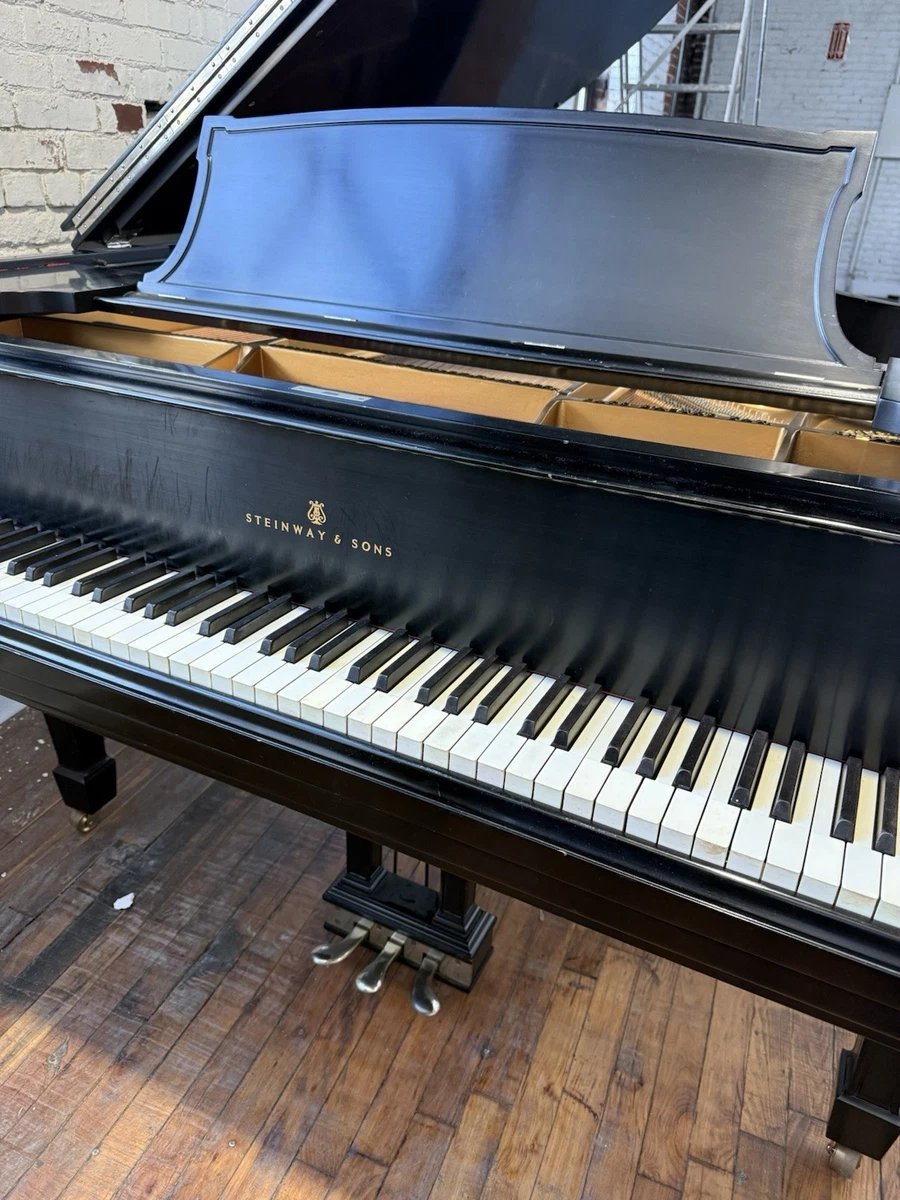 Restored Steinway&Sons Model O 1920 Golden Age. - Image 8
